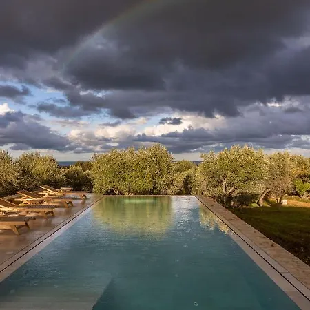 V - Epoca Collection 奥斯图尼