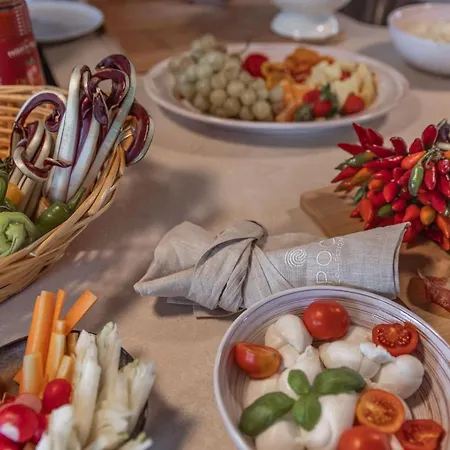 V - Epoca Collection