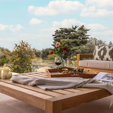 V - Epoca Collection