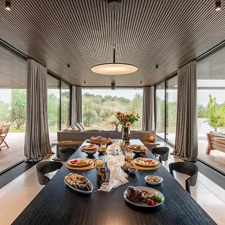 V - Epoca Collection *