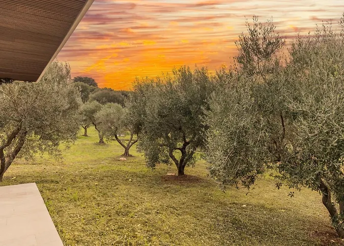 V - Epoca Collection Ostuni