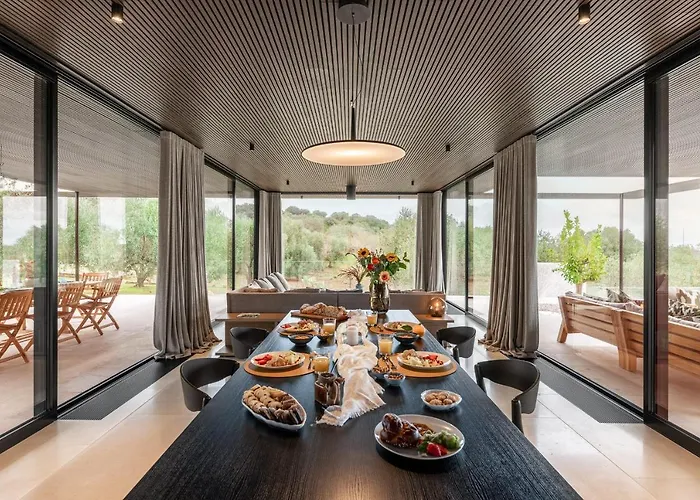 V - Epoca Collection *