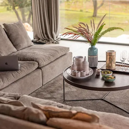 V - Epoca Collection