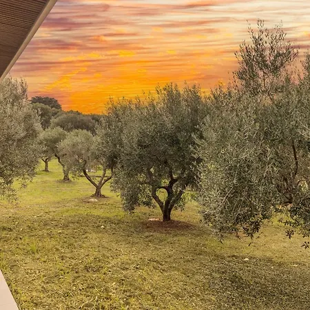 V - Epoca Collection Ostuni