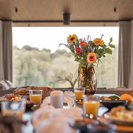 V - Epoca Collection *