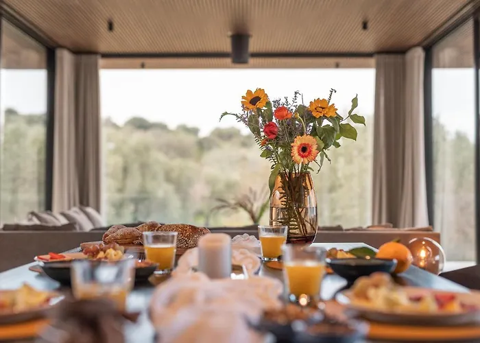 V - Epoca Collection *